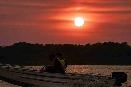 Paraguay river Boat Tour