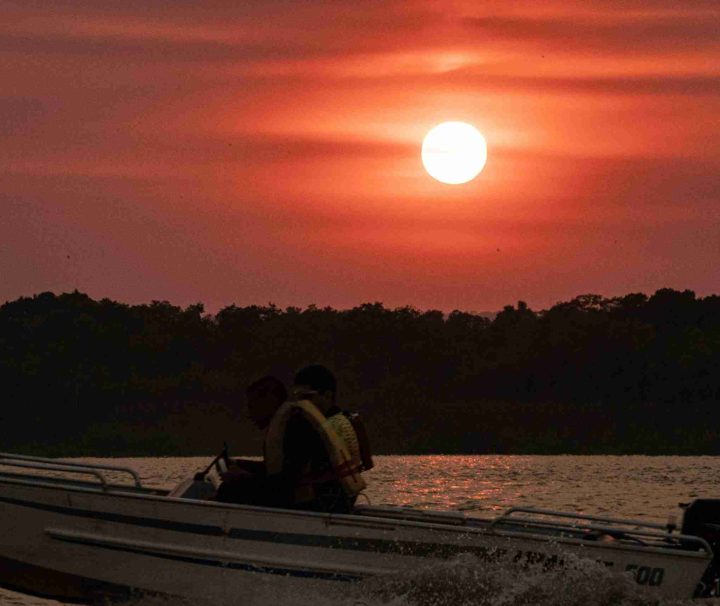 Paraguay river Boat Tour
